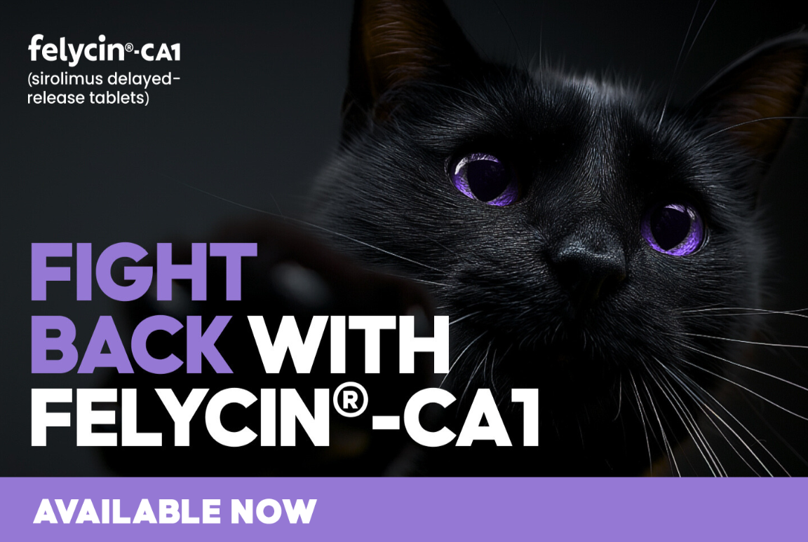 felycin heart disease cat care center baton rouge