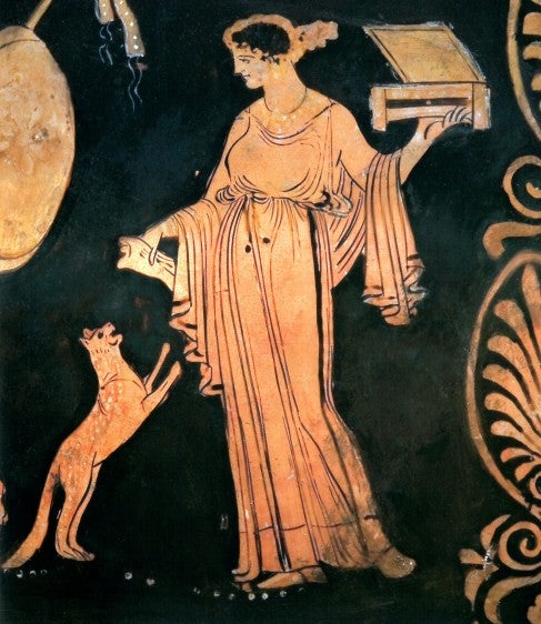 what your cats kidney wish you knew what your cats kidney wish you knew