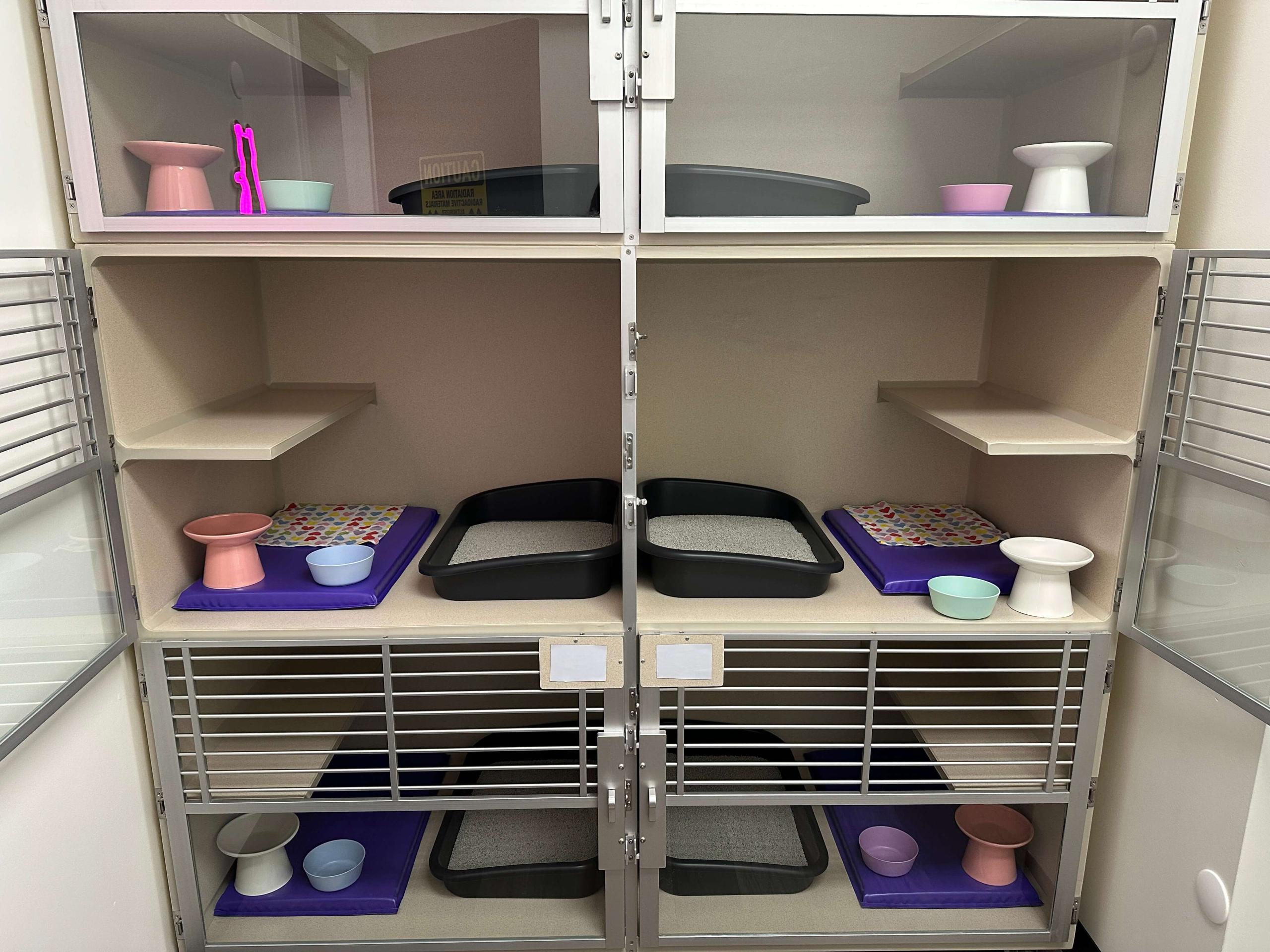 radioactive iodine i131 cat care center baton rouge hyperthyroidism for cats