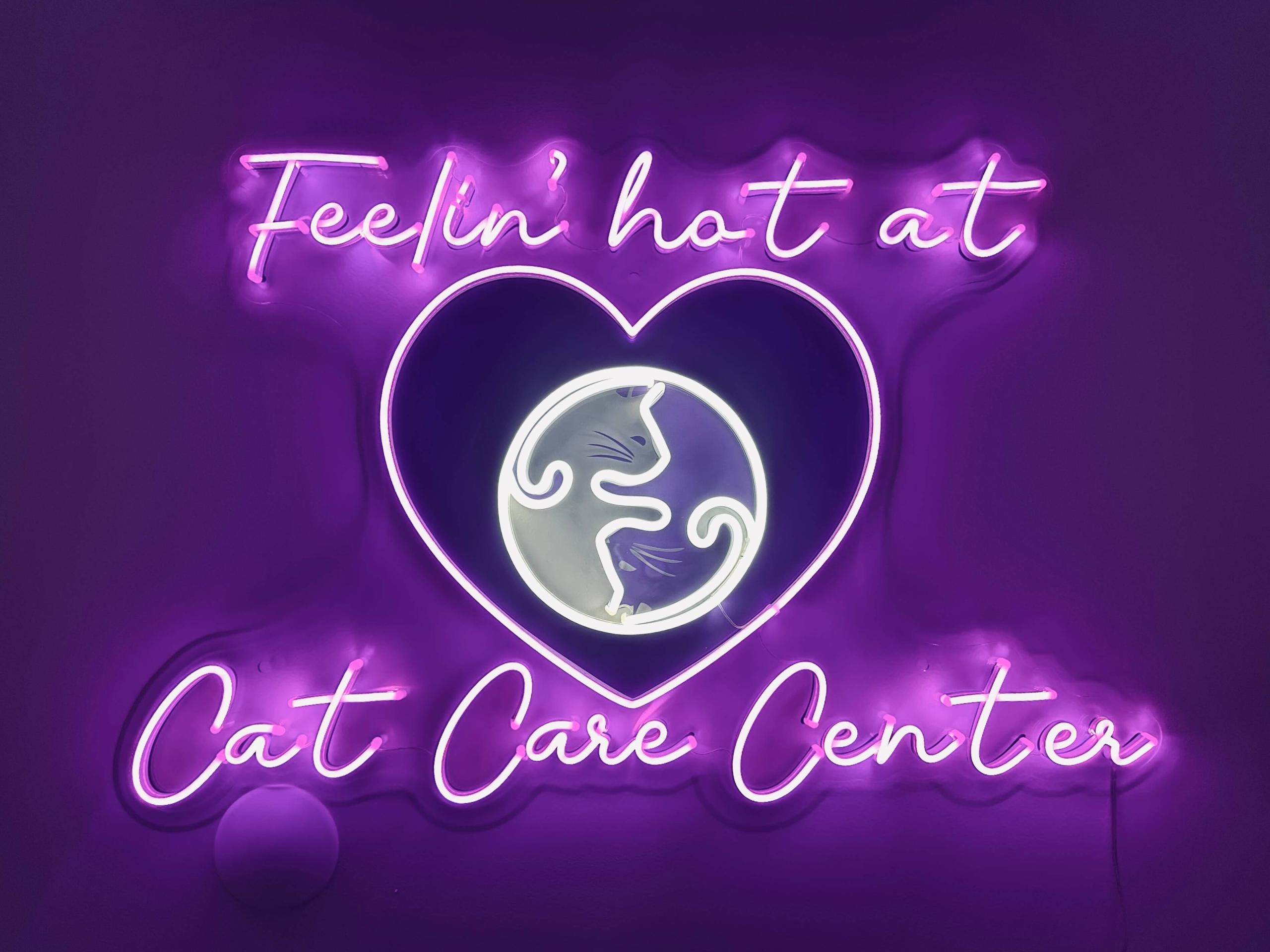 radioactive iodine i131 cat care center baton rouge hyperthyroidism for cats