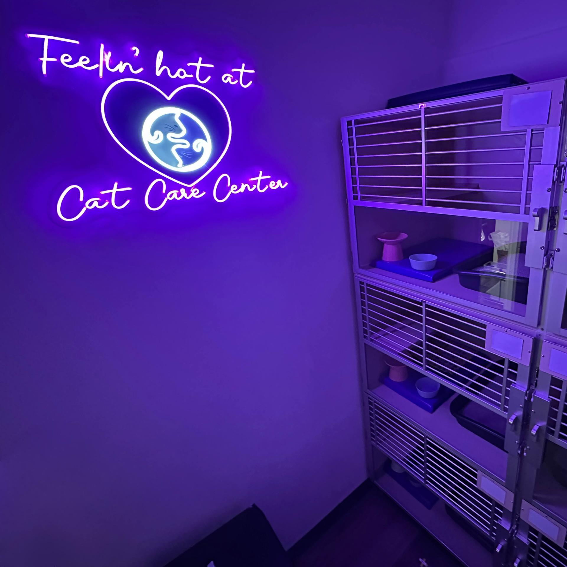 cat care center baton rouge hyperthyroidism treatment for cats i131 radioactive iodine therapy 