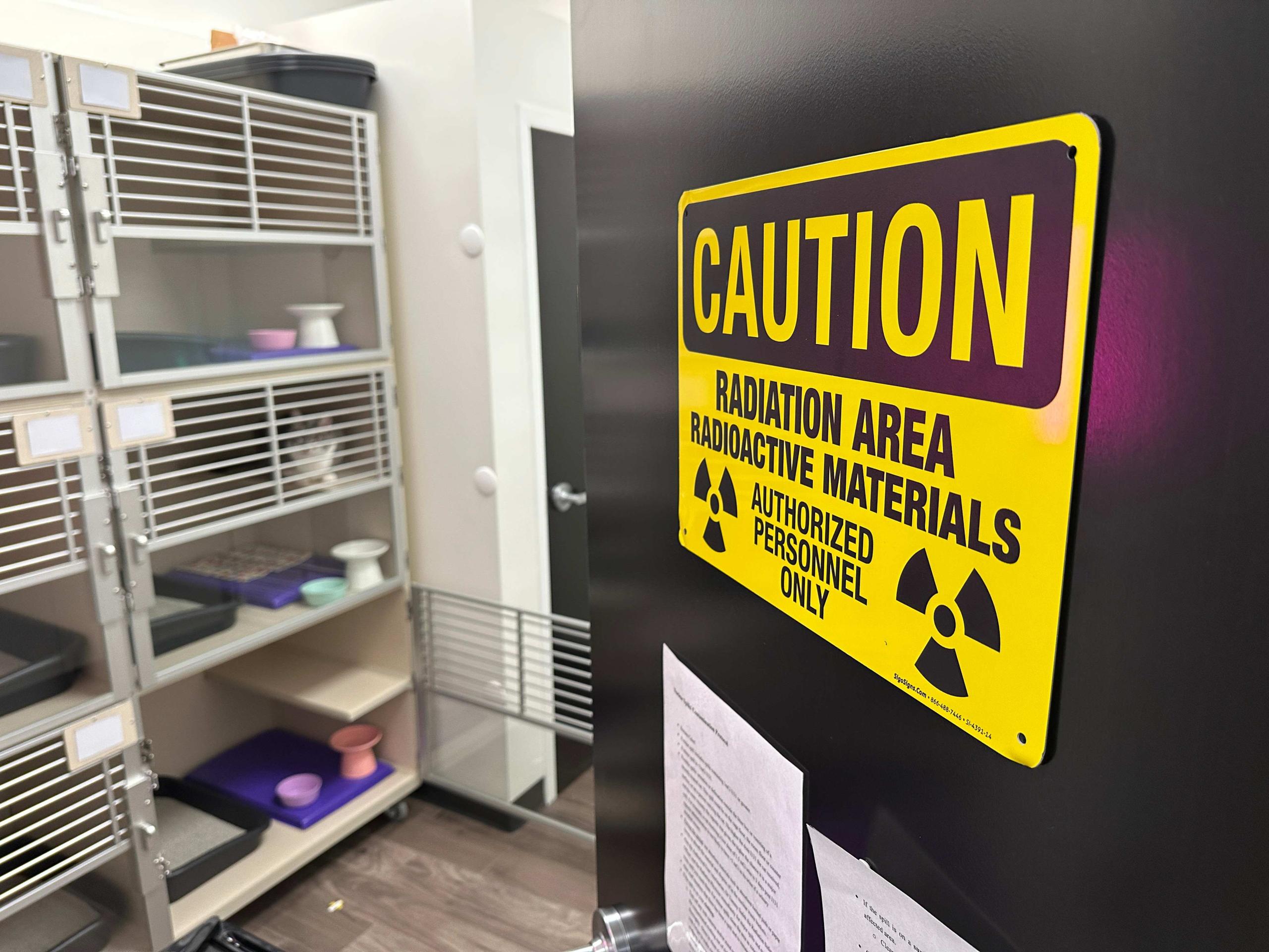 radioactive iodine i131 cat care center baton rouge hyperthyroidism for cats